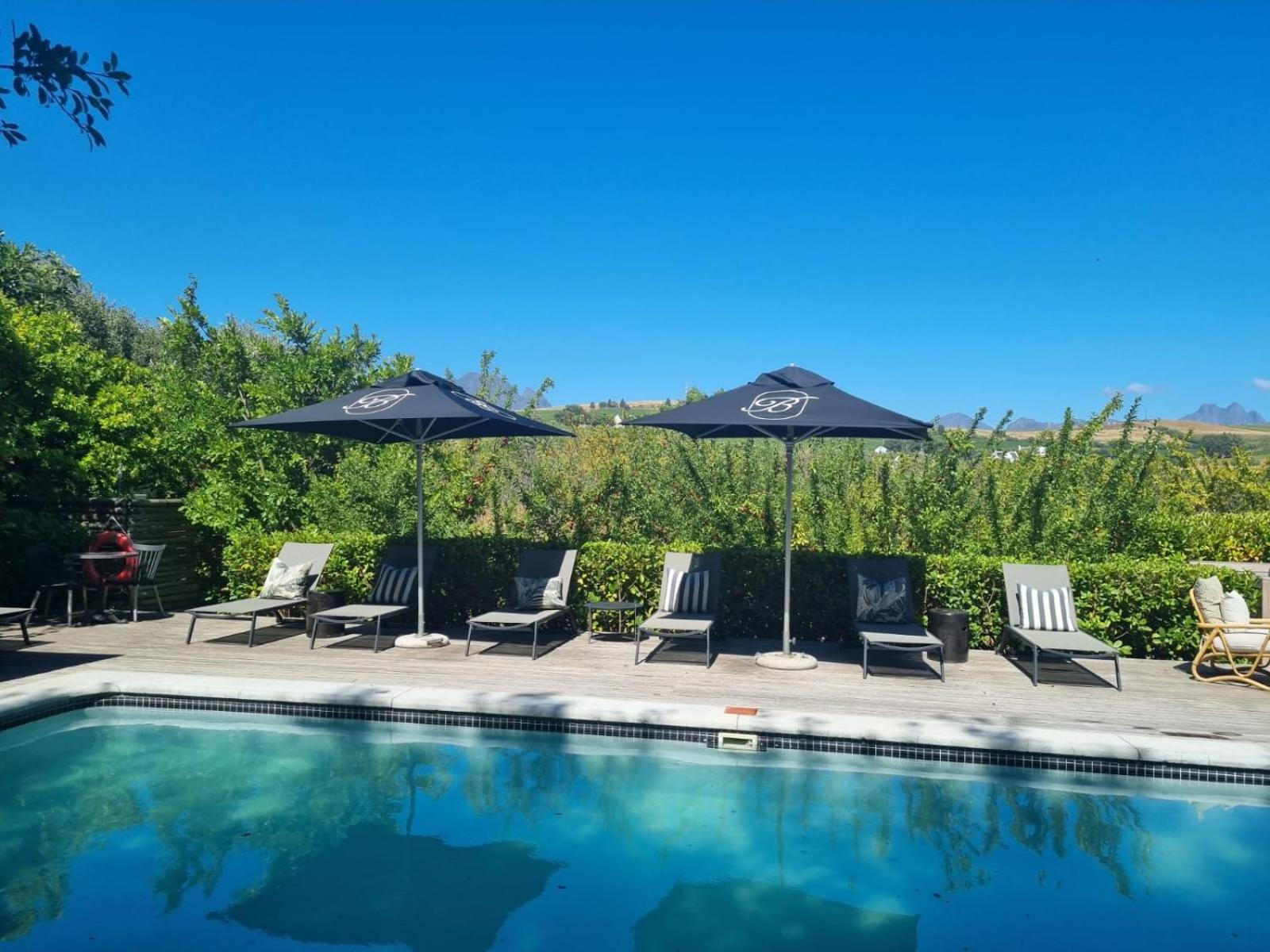 Hotel Brenaissance Wine&Stud Estate à Stellenbosch Extérieur photo