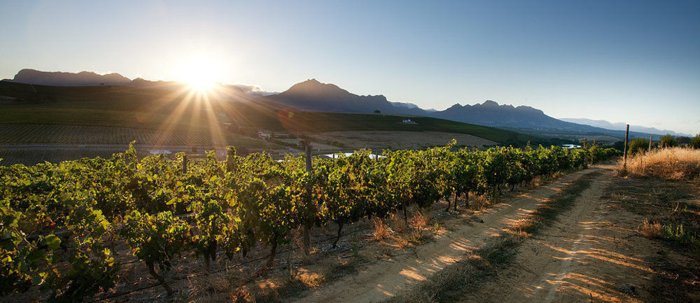 Hotel Brenaissance Wine&Stud Estate à Stellenbosch Extérieur photo