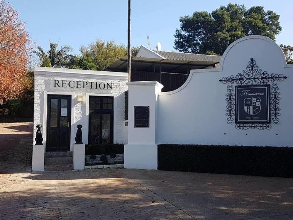Hotel Brenaissance Wine&Stud Estate à Stellenbosch Extérieur photo