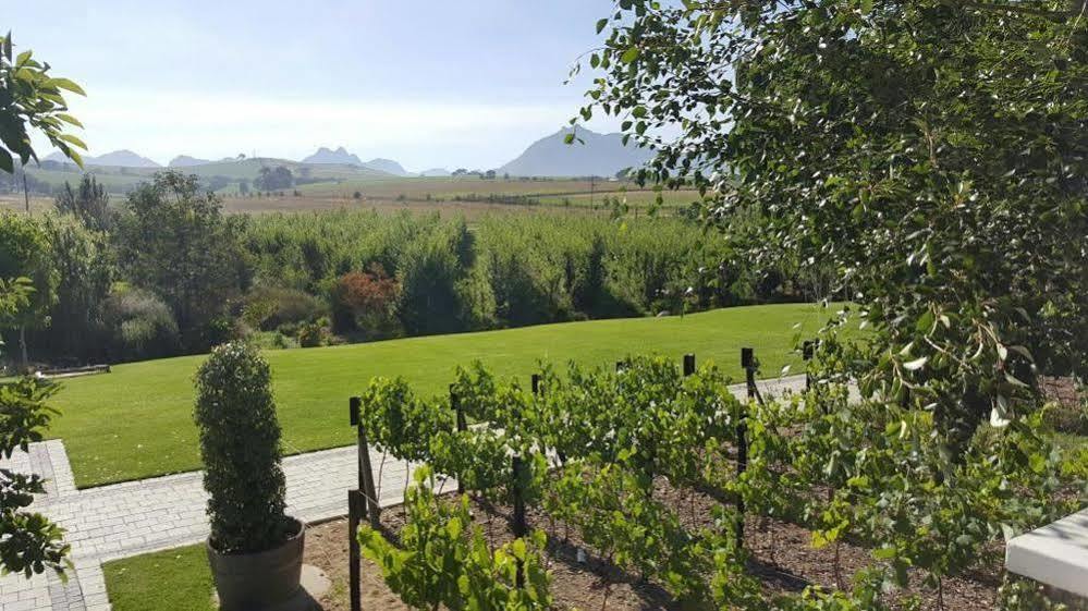 Hotel Brenaissance Wine&Stud Estate à Stellenbosch Extérieur photo